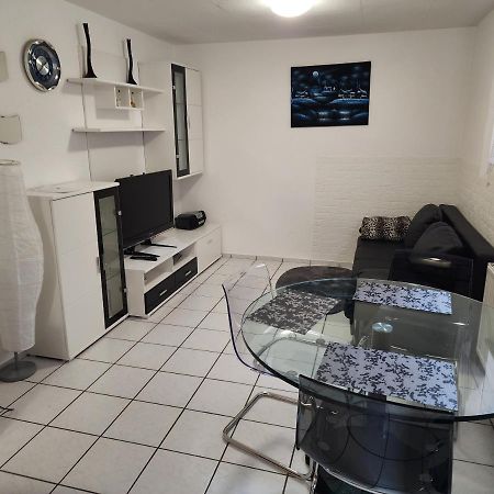 Ferienwohnung In Singen Am Hohentwiel - Seenah Екстериор снимка