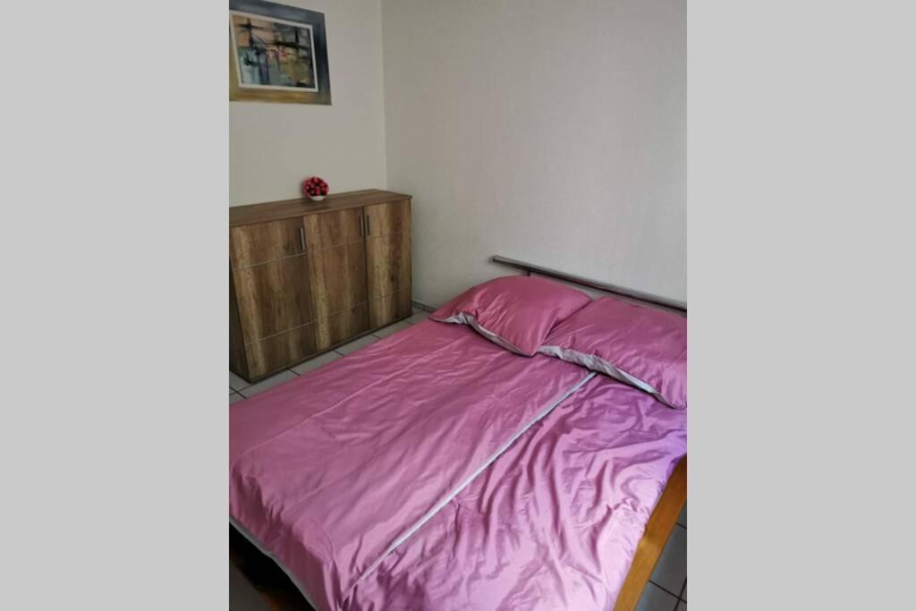 Ferienwohnung In Singen Am Hohentwiel - Seenah Екстериор снимка