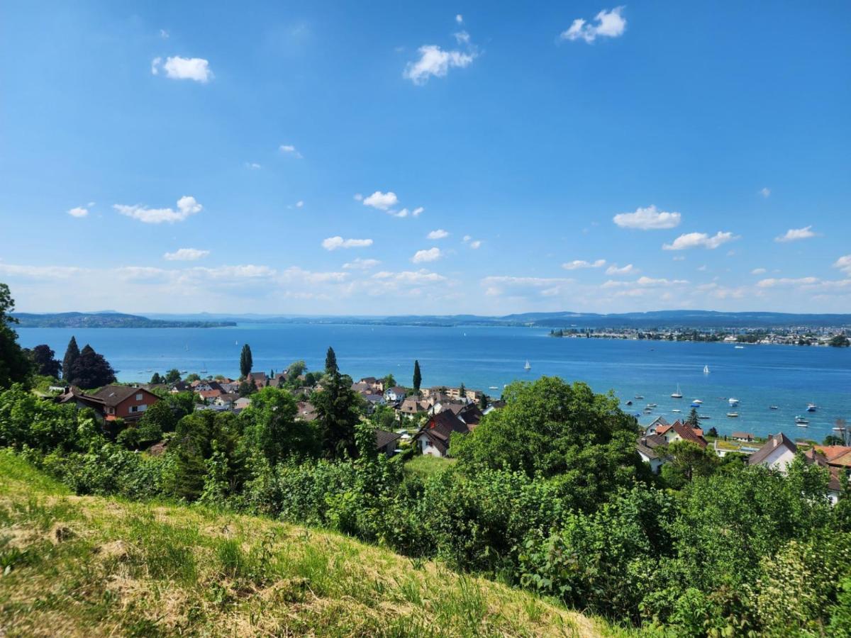Ferienwohnung In Singen Am Hohentwiel - Seenah Екстериор снимка